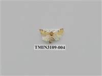 藏品(螟蛾194)的圖片